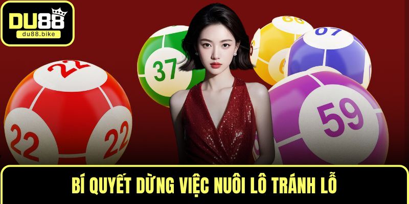 Bí quyết dừng việc nuôi lô tránh lỗ
