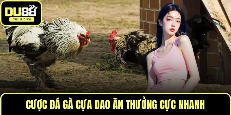 Cược đá gà cựa dao ăn thưởng cực nhanh