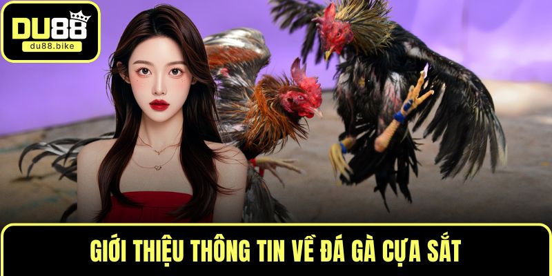 Giới thiệu thông tin về đá gà cựa sắt