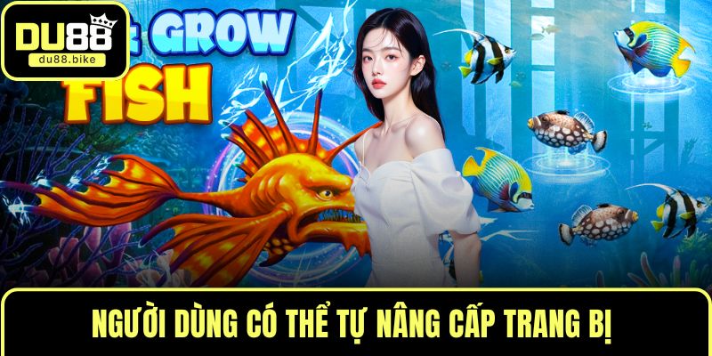 Người dùng có thể tự nâng cấp trang bị